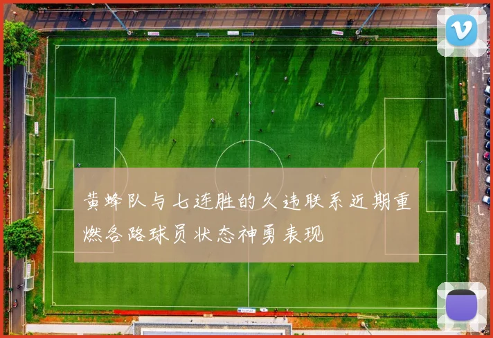 黄蜂队与七连胜的久违联系近期重燃各路球员状态神勇表现