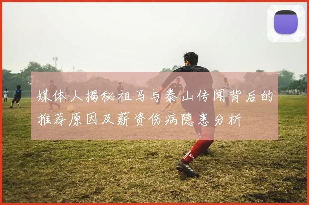 媒体人揭秘祖马与泰山传闻背后的推荐原因及薪资伤病隐患分析