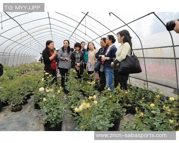 今天对决平分秋色布伦森与马克西各展风采贡献精彩表现