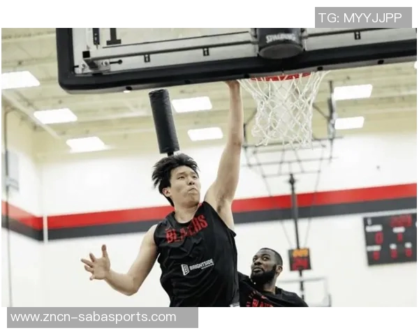 杨瀚森新赛季期待对抗约基奇和申京的挑战与机遇